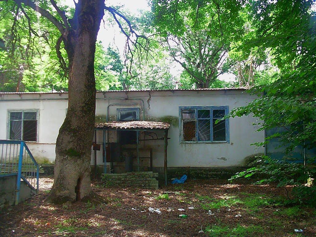Краснолісся з panoramio.com - Краснолесье