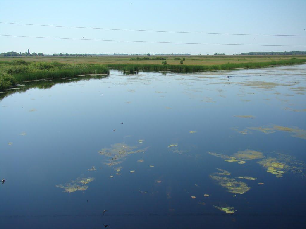 Горошине з panoramio.com - Горошино