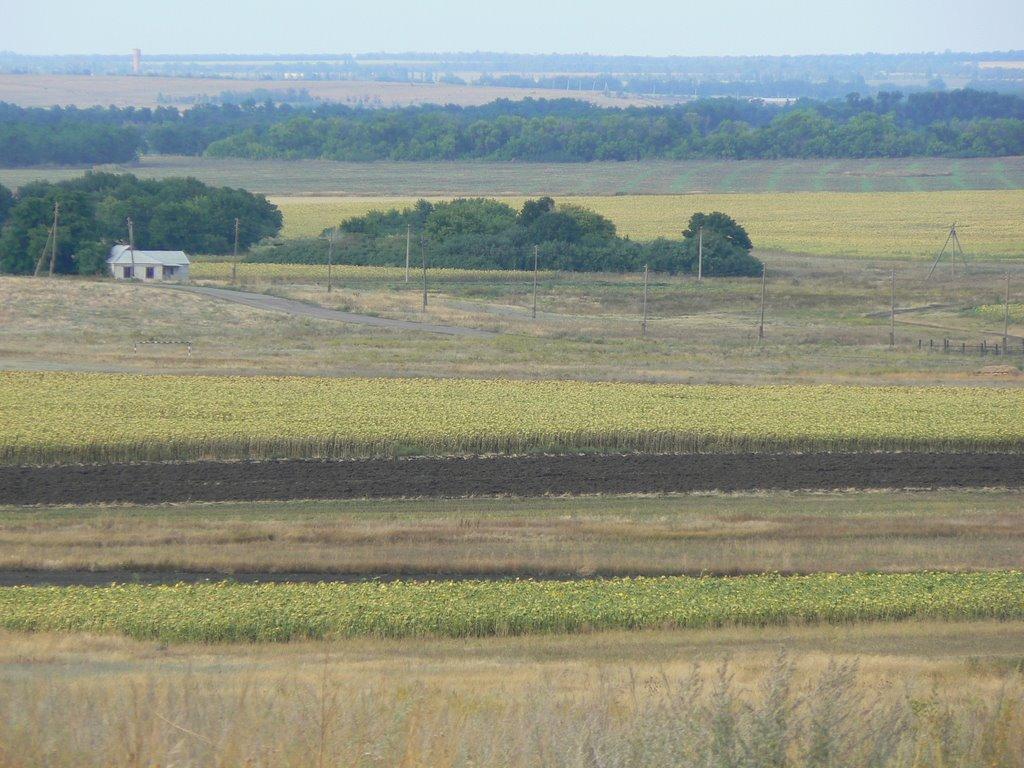Орлинське з panoramio.com - Орлинське