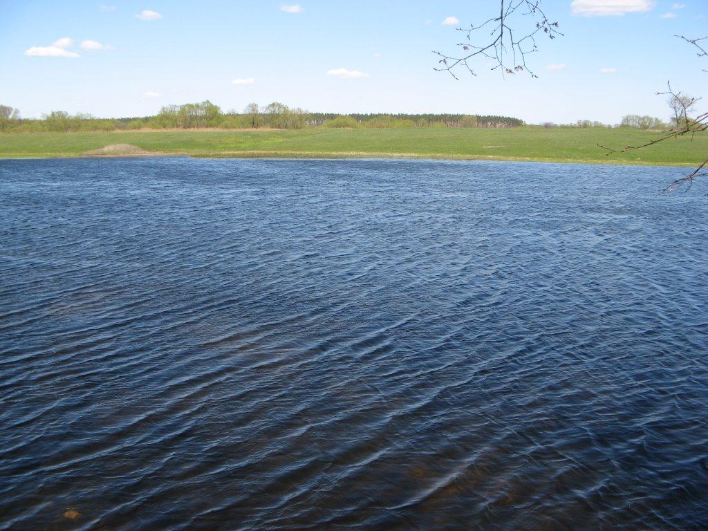 Біловод з panoramio.com - Біловод