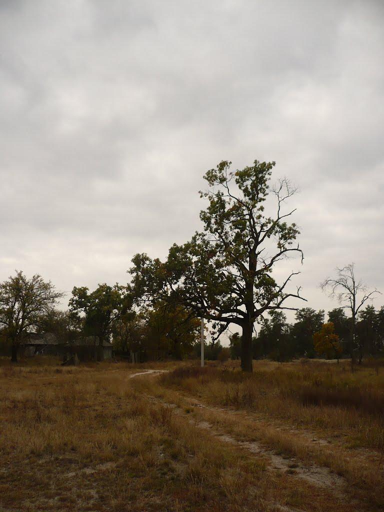 Прохорів з panoramio.com - Прохоров