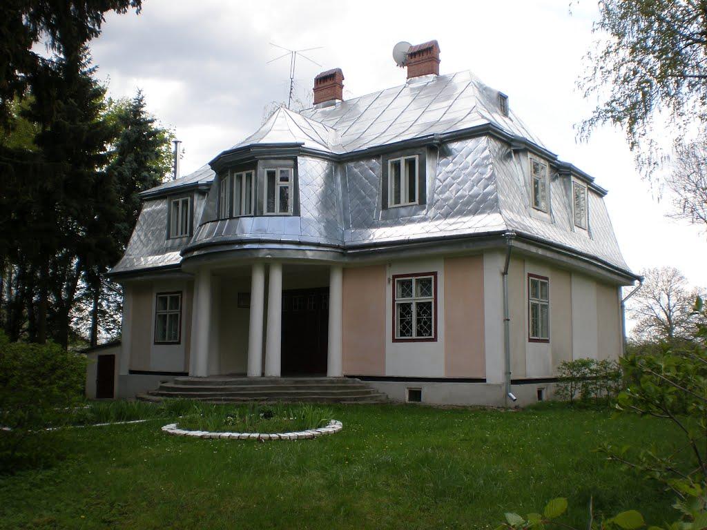 Лопатин з panoramio.com - Лопатин