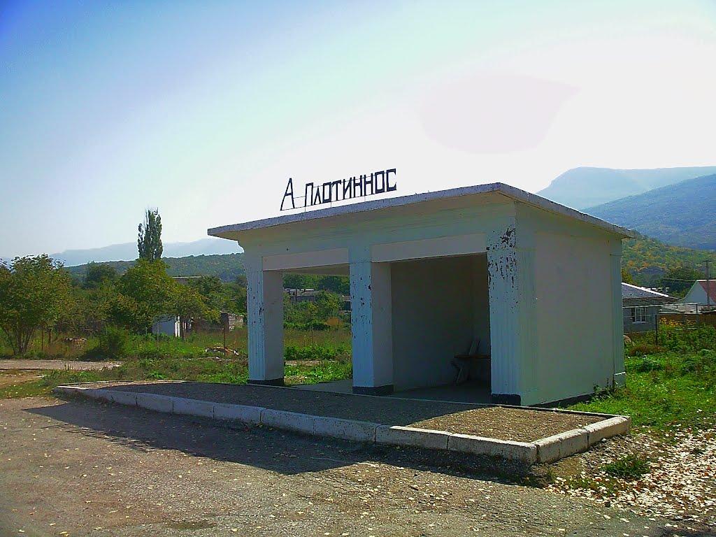 Плотинне з panoramio.com - Плотинное