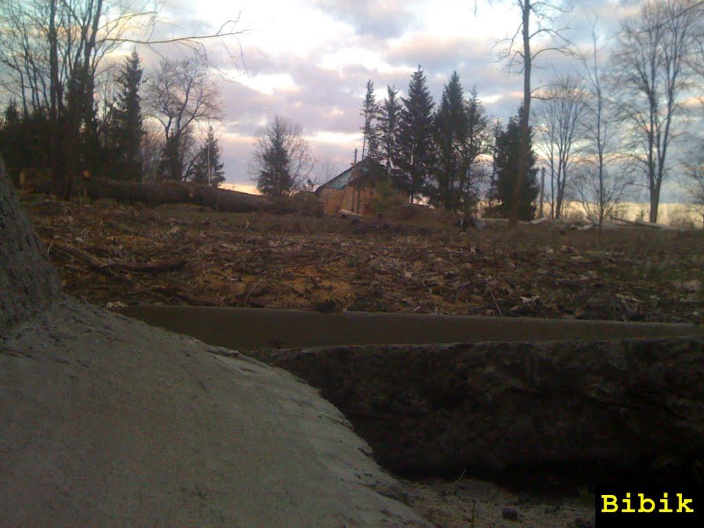 Черемошна з panoramio.com - Черемошна