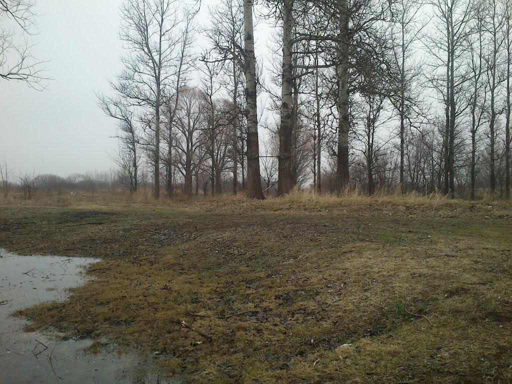 Губичі з panoramio.com - Губичі