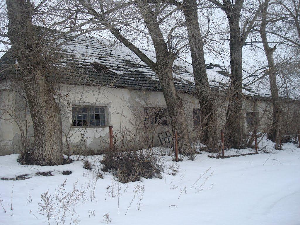 Борщівка з panoramio.com - Борщевка