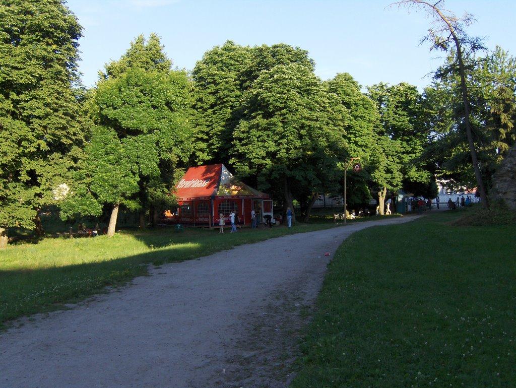 Бережани з panoramio.com - Бережаны