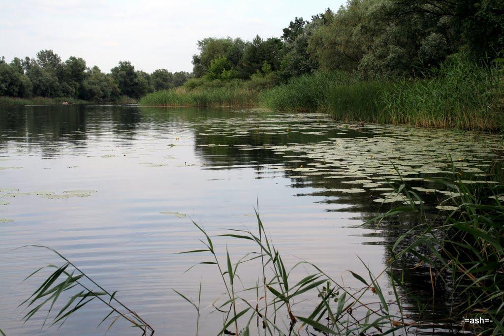 Проточі з panoramio.com - Проточі