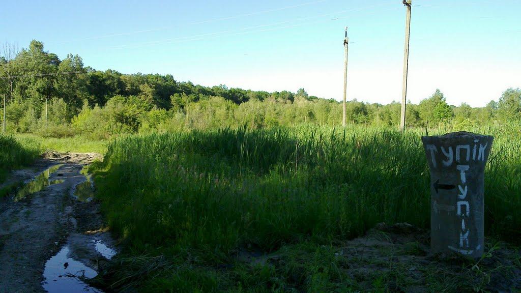 Лапаївка з panoramio.com - Лапаевка