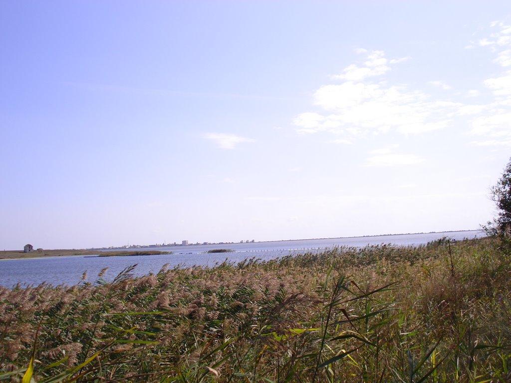 Біленьке з panoramio.com - Біленьке