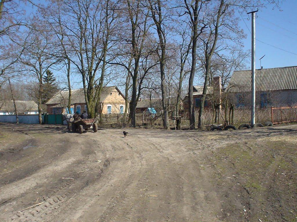 Краснопіль з panoramio.com - Краснопіль