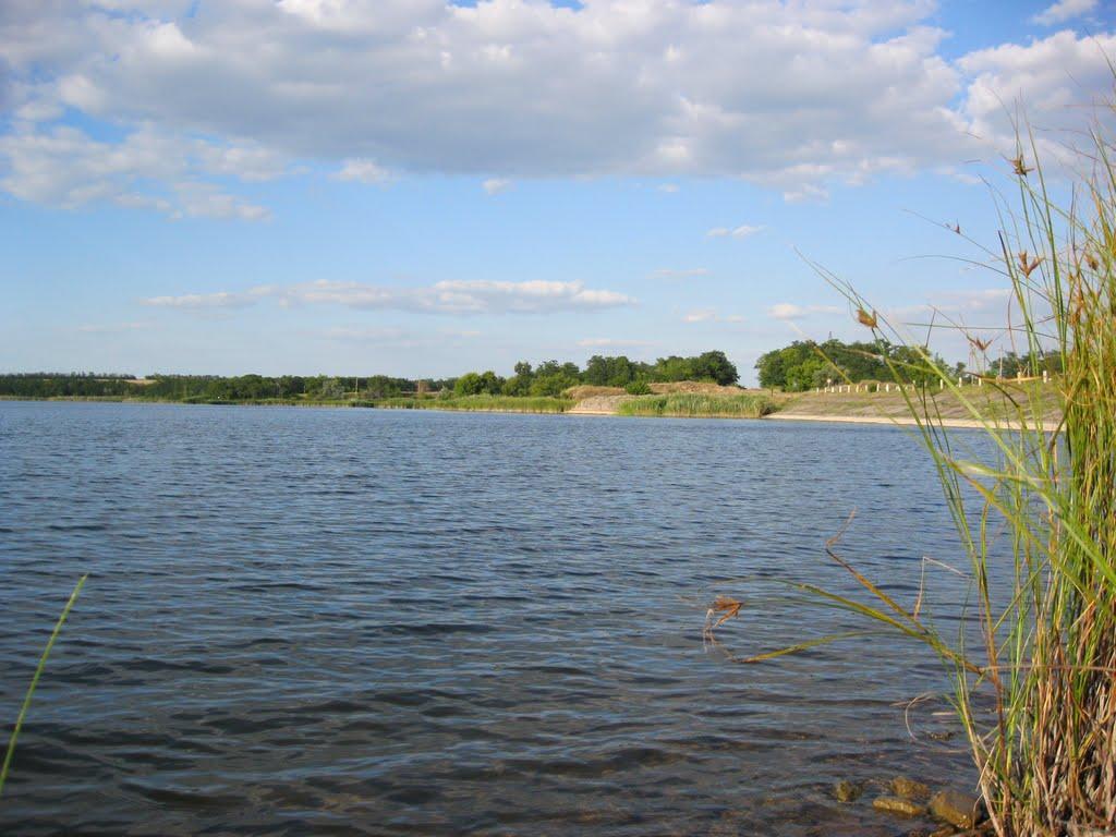 Кузнецово-Михайлівка з panoramio.com - Кузнецово-Михайлівка