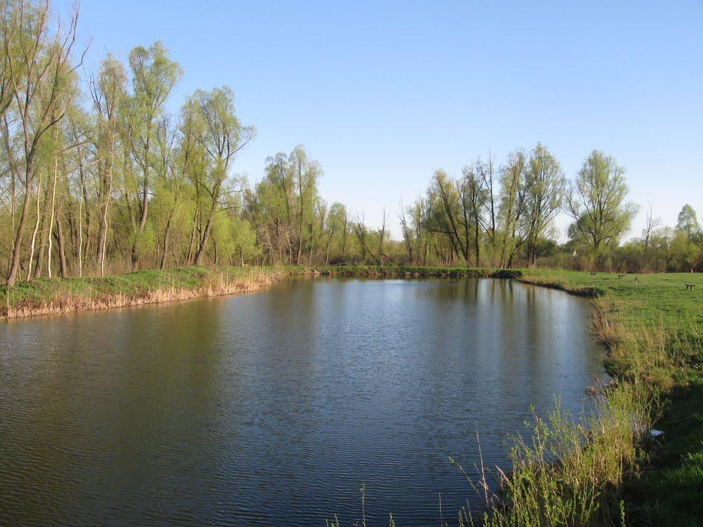 Требухів з panoramio.com - Trebukhiv