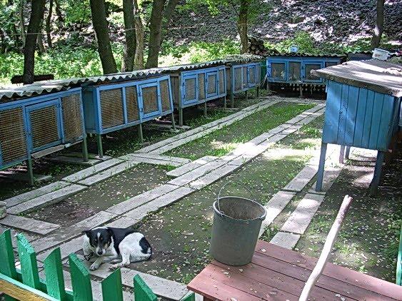 Ровеньки з panoramio.com - Ровеньки