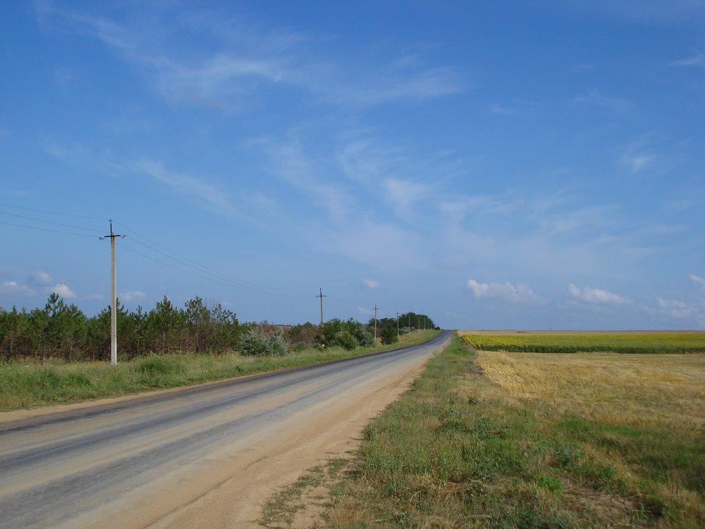 Ковалівка з panoramio.com - Ковалівка
