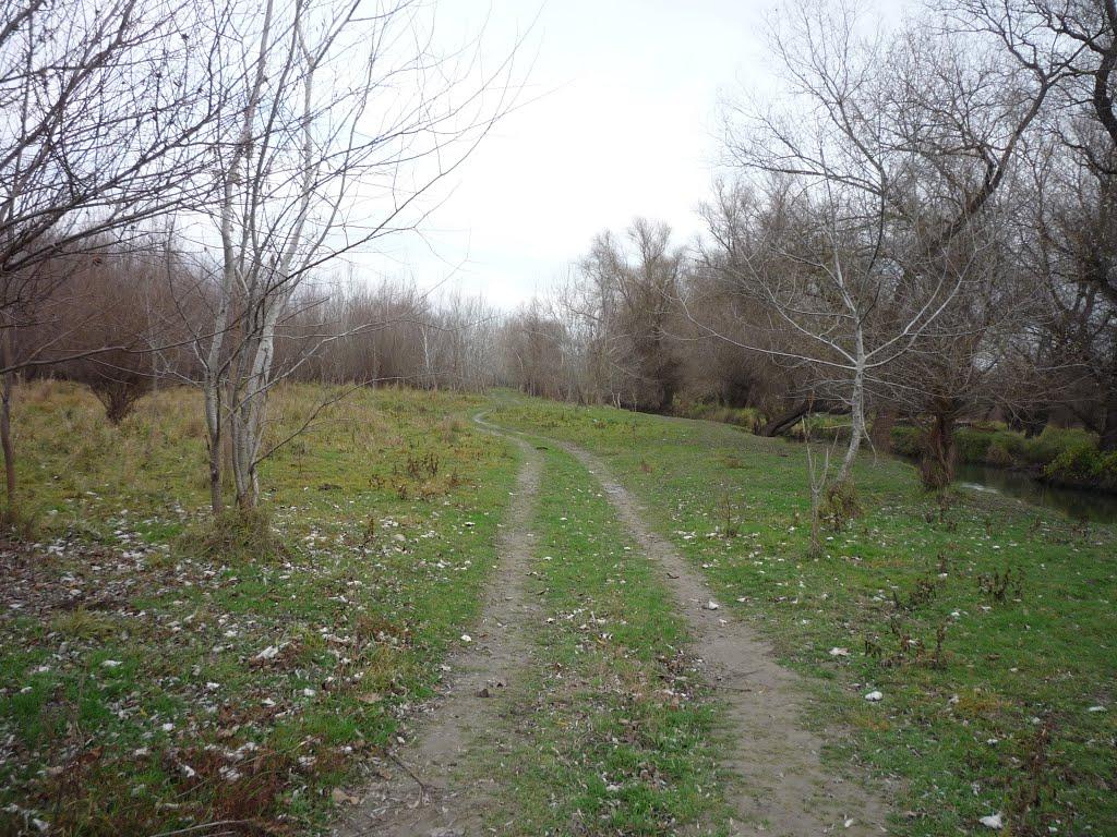 Троїцьке з panoramio.com - Троицкое