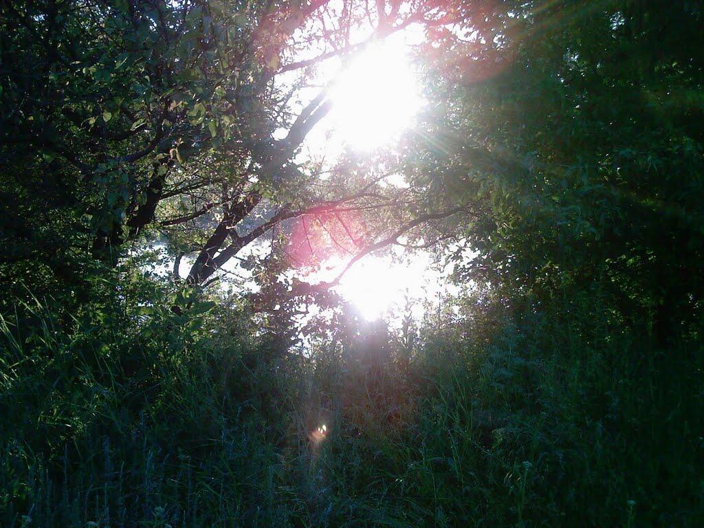 Карло-Марксове з panoramio.com - Карло-Марксове