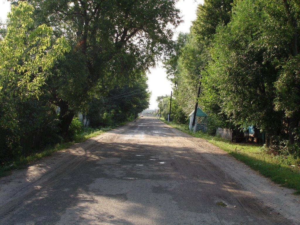 Безсалівка з panoramio.com - Безсалівка