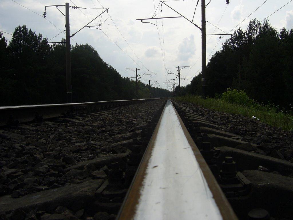 Радивилів з panoramio.com - Радивилов