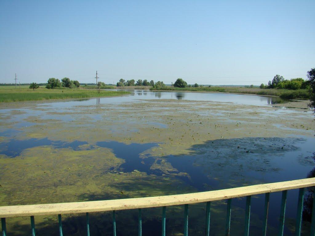 Горошине з panoramio.com - Goroshyne