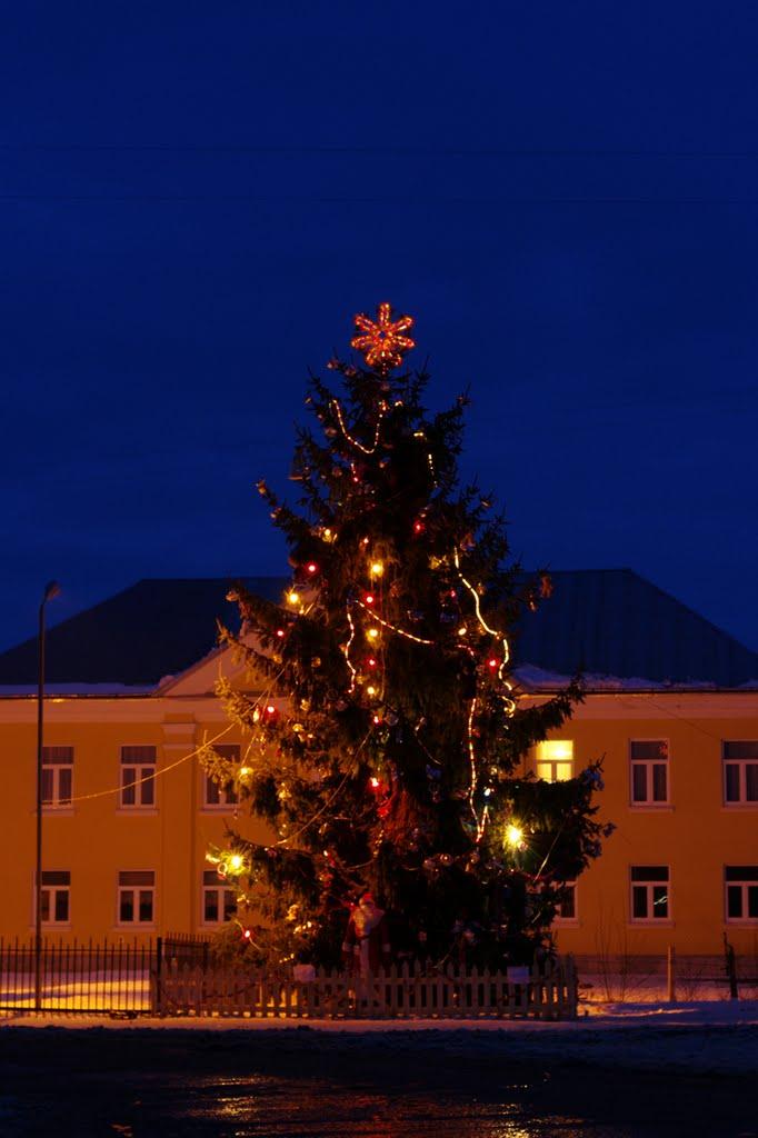 Лопатин з panoramio.com - Lopatyn