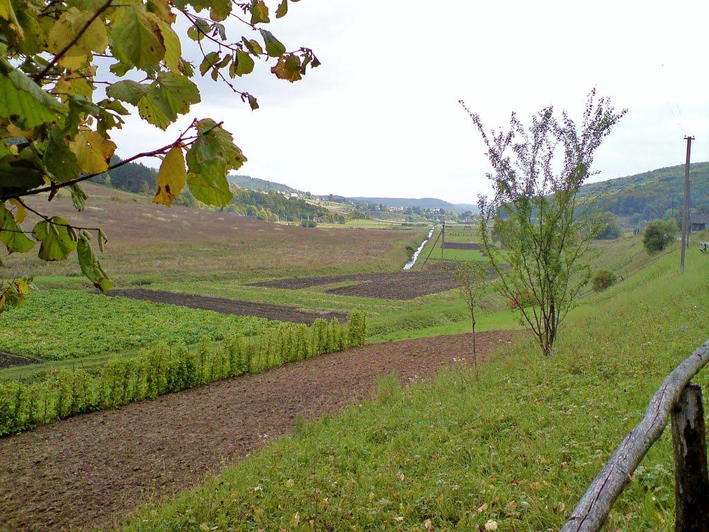 Рогачин з panoramio.com - Rogachyn