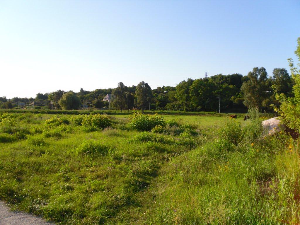 Івано-Михайлівка з panoramio.com - Івано-Михайлівка