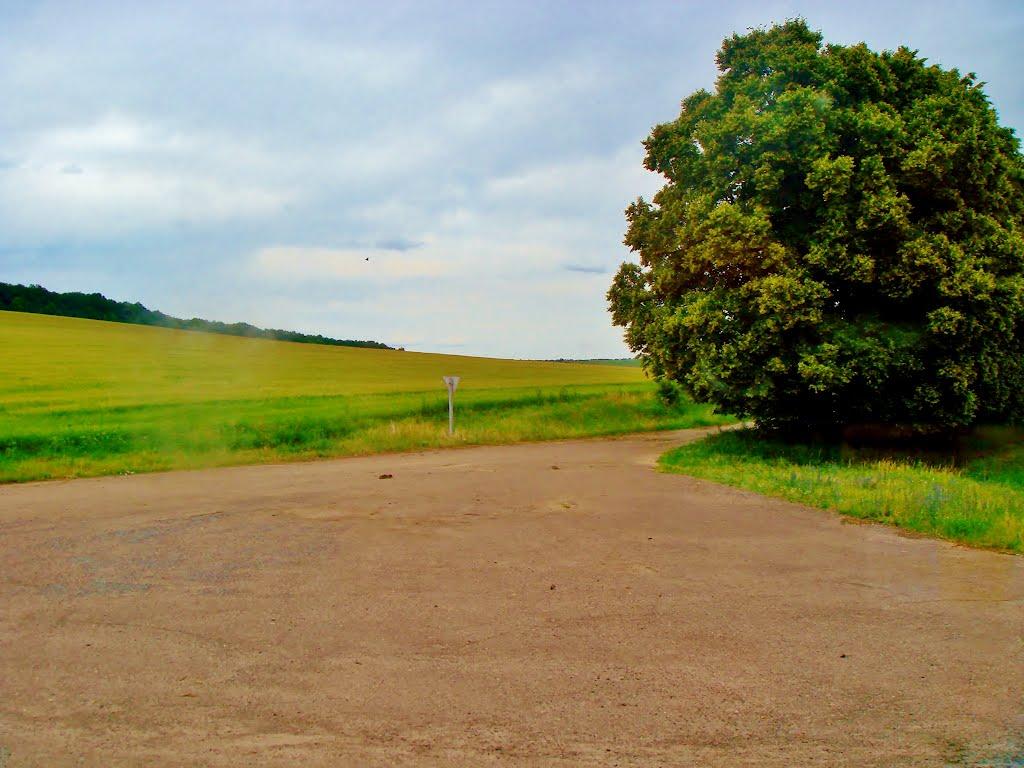 Мурзинці з panoramio.com - Мурзинцы