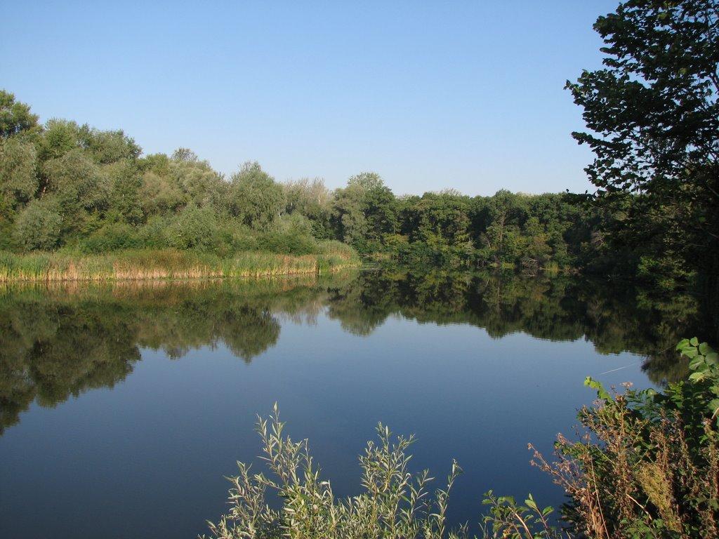 Кияшки з panoramio.com - Кияшки