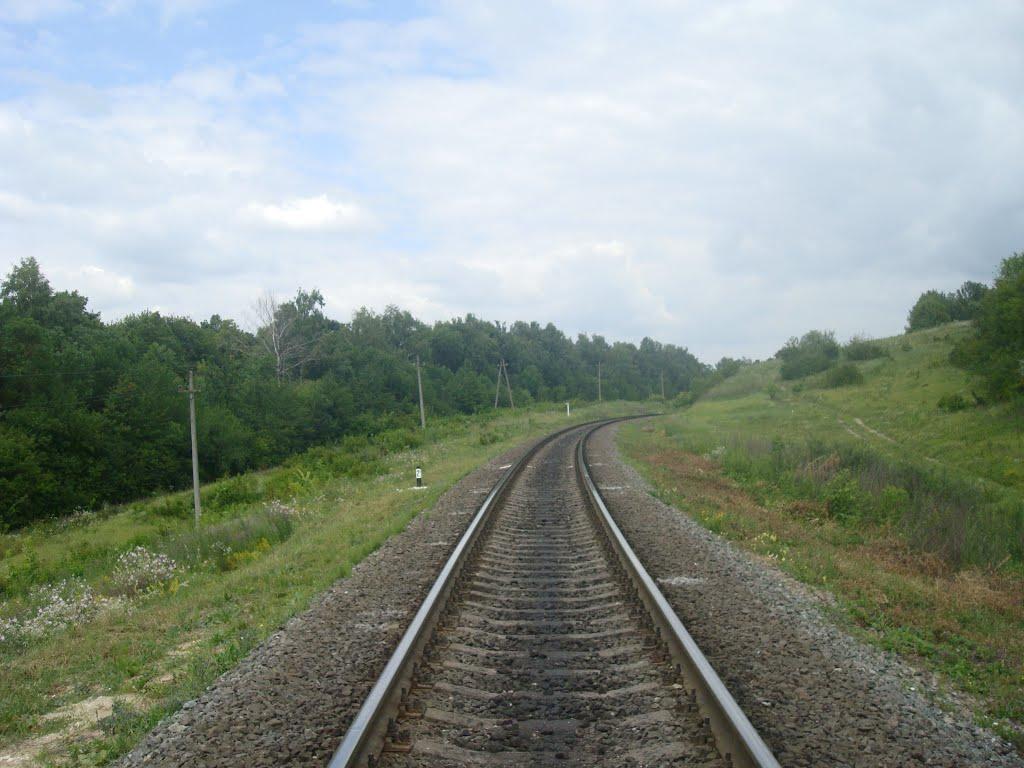 Нігин з panoramio.com - Негин