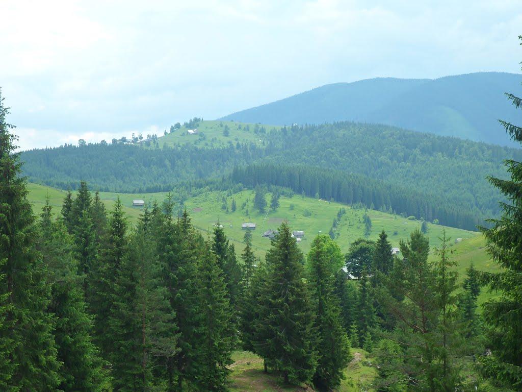 Береги з panoramio.com - Береги