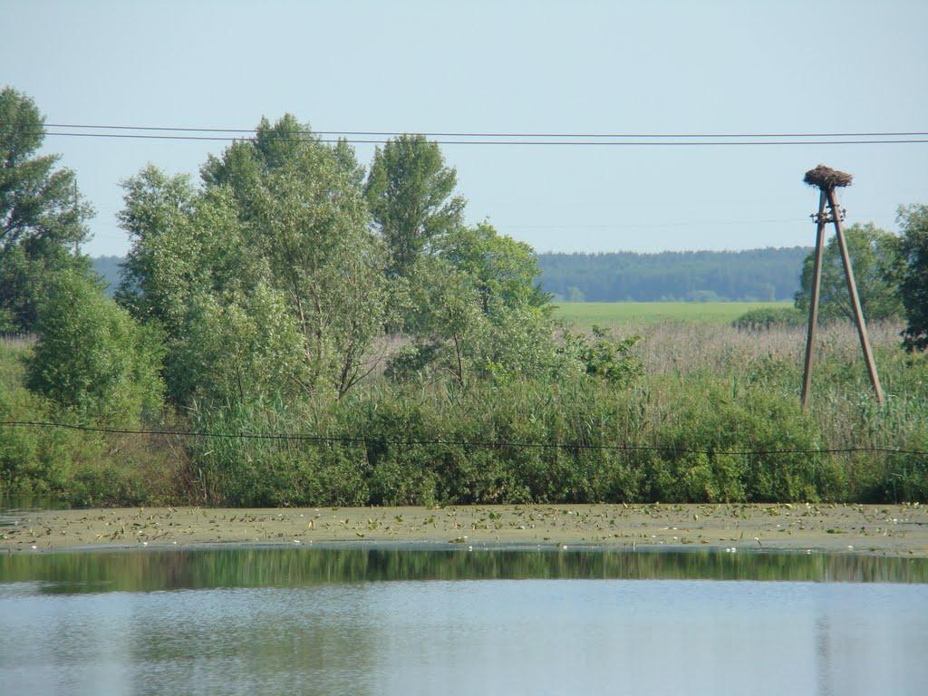 Горошине з panoramio.com - Goroshyne