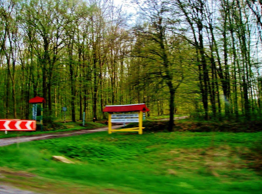 Смільчинці з panoramio.com - Смельчинцы