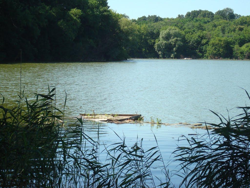 Вергуни з panoramio.com - Вергуни