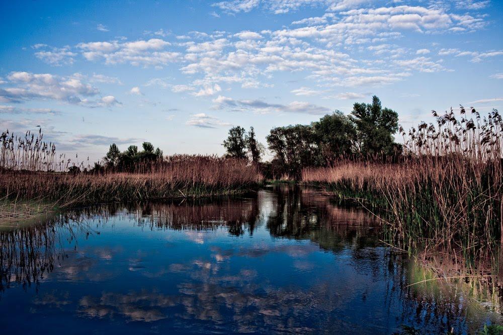 Зимне з panoramio.com - Зимнее