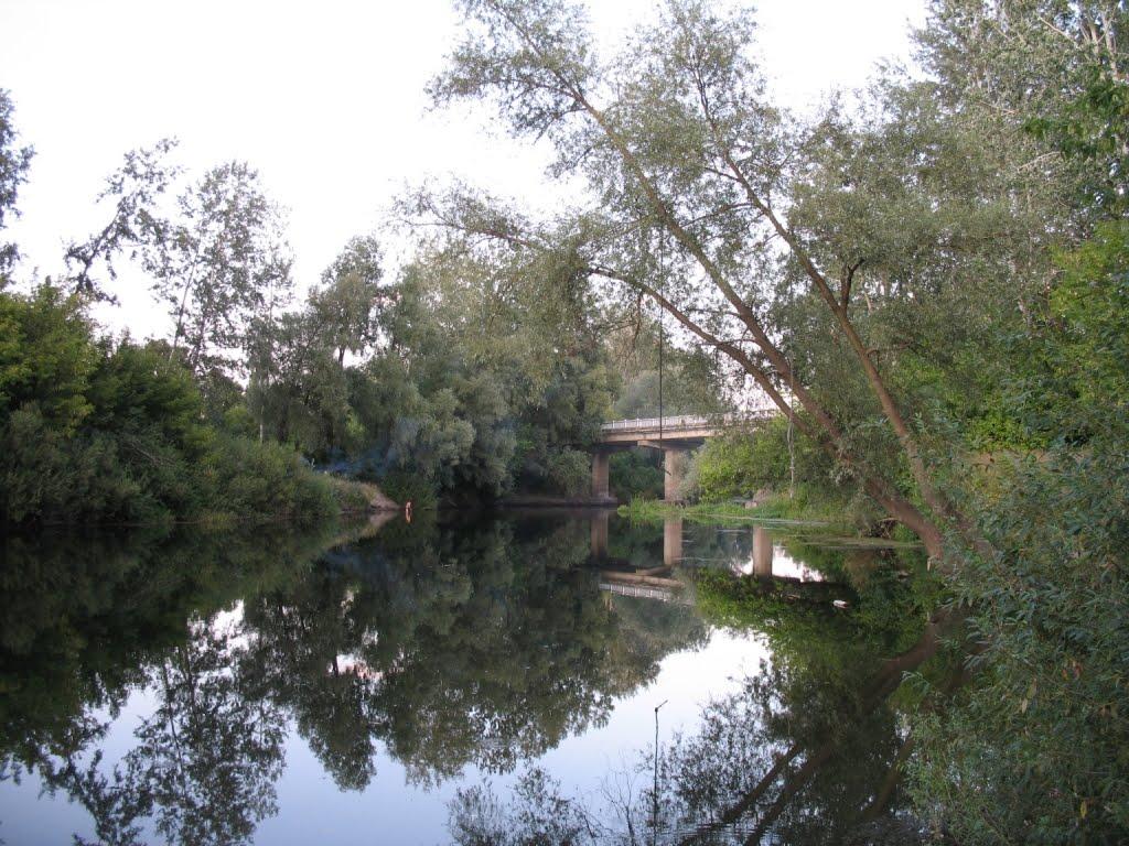 Великі Сорочинці з panoramio.com - Великие Сорочинцы