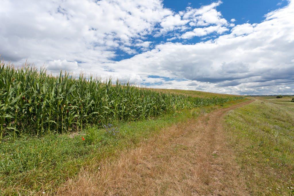 Харліївка з panoramio.com - Харлиевка