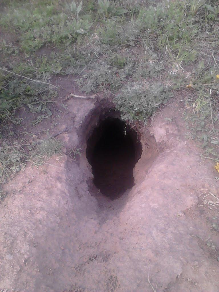 Капустинці з panoramio.com - Капустинці