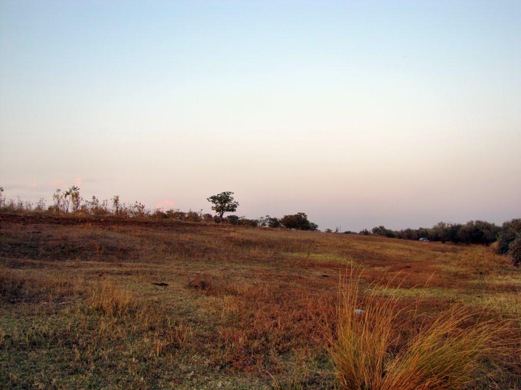 Їжицьке з panoramio.com - Ижицкое