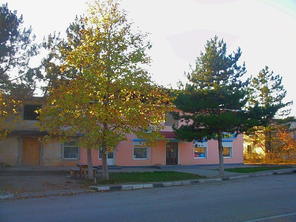 Голубинка з panoramio.com - Голубинка