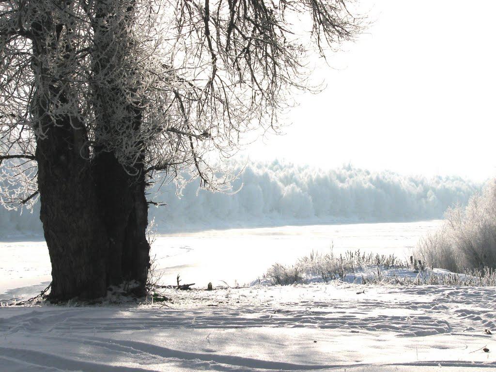 Куковичі з panoramio.com - Куковичи