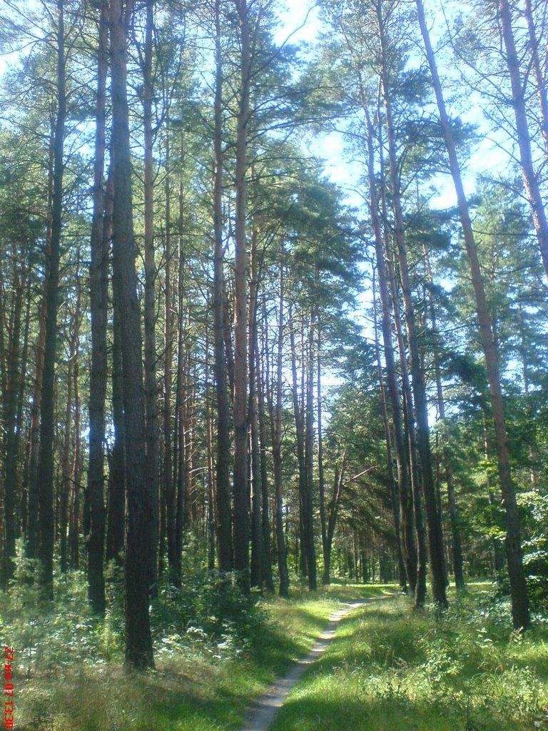 Бочечки з panoramio.com - Бочечки