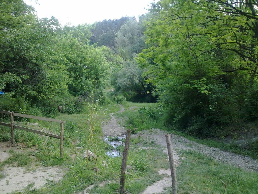 Дем'янківці з panoramio.com - Демьянковцы