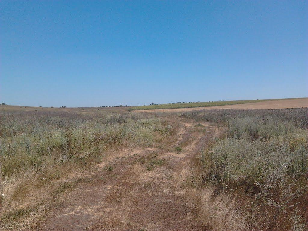 Васинівка з panoramio.com - Васиновка