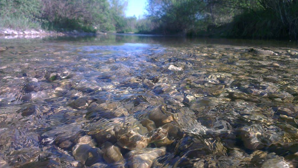 Цвіточне з panoramio.com - Цветочное
