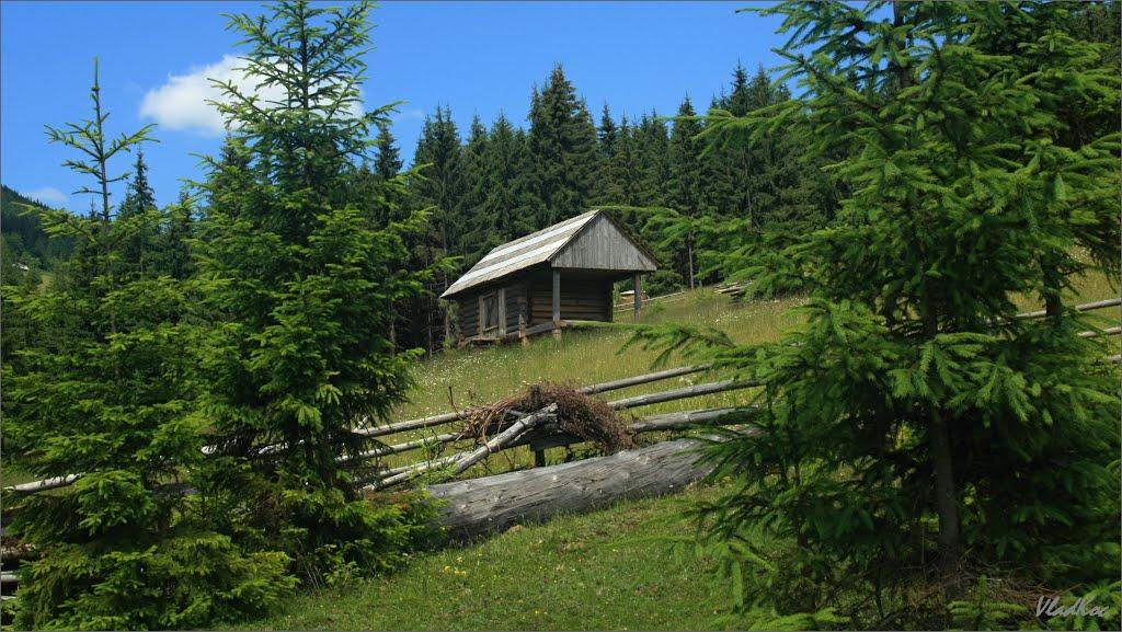 Береги з panoramio.com - Береги