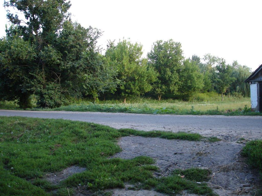 Безсалівка з panoramio.com - Безсалівка