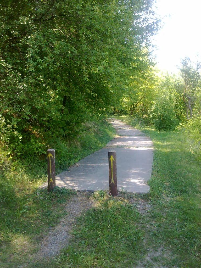 Дем'янківці з panoramio.com - Демьянковцы