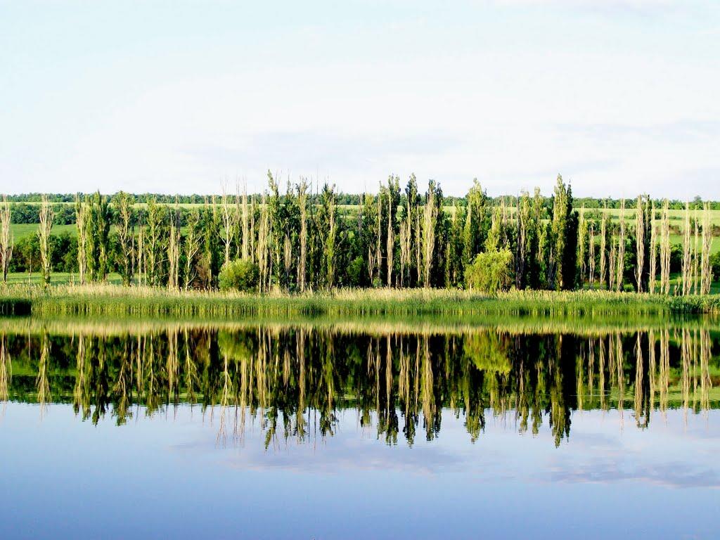 Шелехове з panoramio.com - Шелехово