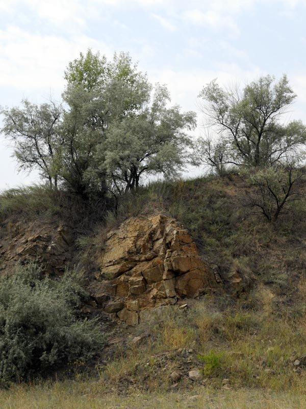 Волоське з panoramio.com - Волосское